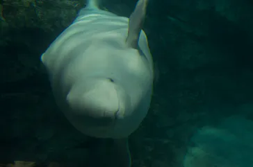 名古屋港水族館に投稿された画像（2026/9/20）