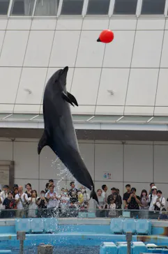 名古屋港水族館に投稿された画像（2026/9/20）