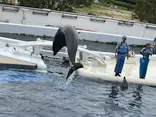 京都水族館に投稿された画像（2026/9/20）