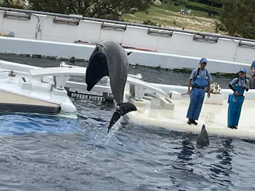 京都水族館に投稿された画像（2026/9/20）