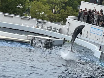 京都水族館に投稿された画像（2026/9/20）
