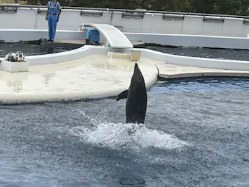 京都水族館に投稿された画像（2026/9/20）