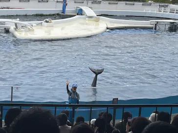 京都水族館に投稿された画像（2026/9/20）
