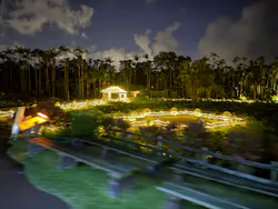 美らヤシパークオキナワ・東南植物楽園に投稿された画像（2026/9/20）