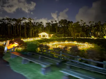 美らヤシパークオキナワ・東南植物楽園に投稿された画像（2026/9/20）
