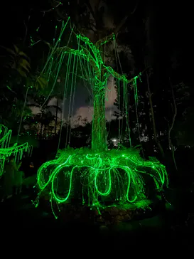 美らヤシパークオキナワ・東南植物楽園に投稿された画像（2026/9/20）
