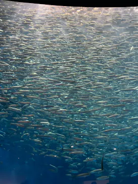 名古屋港水族館に投稿された画像（2026/9/20）