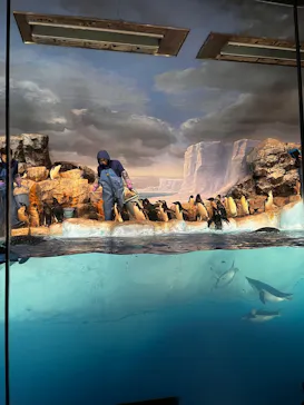 名古屋港水族館に投稿された画像（2026/9/20）