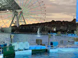 名古屋港水族館に投稿された画像（2026/9/20）