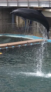 越前松島水族館に投稿された画像（2026/9/20）