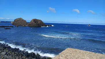 越前松島水族館に投稿された画像（2026/9/20）