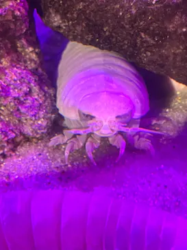 仙台うみの杜水族館に投稿された画像（2026/9/20）