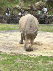 アドベンチャーワールドに投稿された画像（2026/9/20）