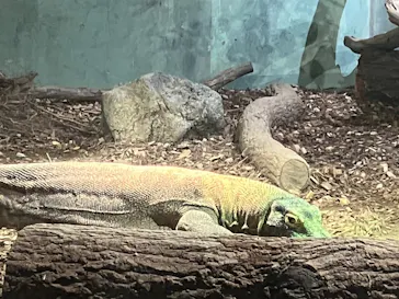 名古屋市東山動植物園に投稿された画像（2026/9/20）