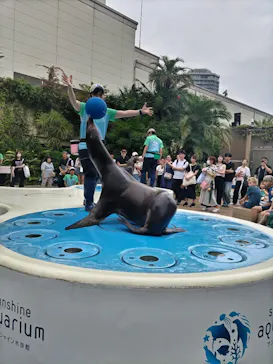 サンシャイン水族館に投稿された画像（2026/9/20）