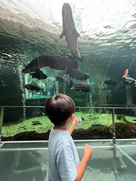栃木県なかがわ水遊園に投稿された画像（2026/9/20）