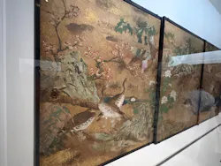 東京都美術館開館100周年記念　大英博物館日本美術コレクション　百花繚乱～海を越えた江戸絵画に投稿された画像（2026/9/20）