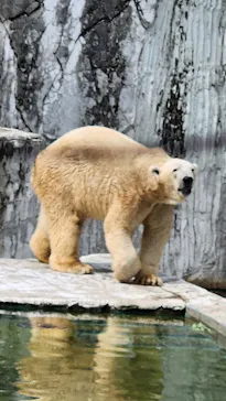 名古屋市東山動植物園に投稿された画像（2026/9/20）