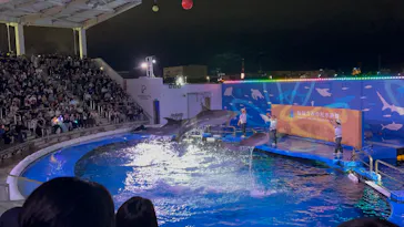 仙台うみの杜水族館に投稿された画像（2026/9/20）