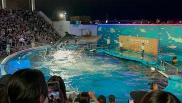 仙台うみの杜水族館に投稿された画像（2026/9/20）