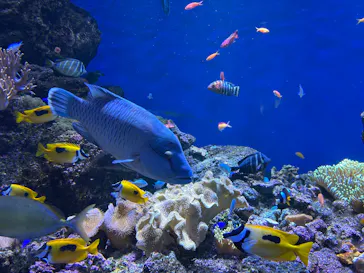 仙台うみの杜水族館に投稿された画像（2026/9/20）