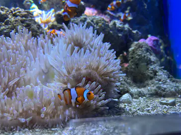 仙台うみの杜水族館に投稿された画像（2026/9/20）