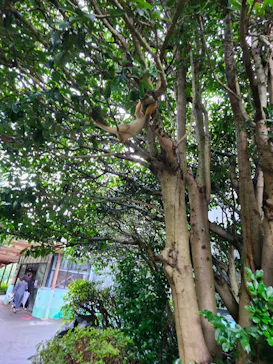 伊豆シャボテン動物公園に投稿された画像（2026/9/20）