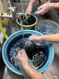 熱海藍染工房に投稿された画像（2026/9/21）