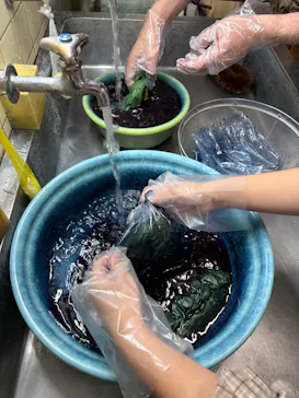 熱海藍染工房に投稿された画像（2026/9/20）