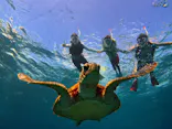 元気玉に投稿された画像（2026/9/21）