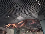 国立科学博物館に投稿された画像（2026/9/21）