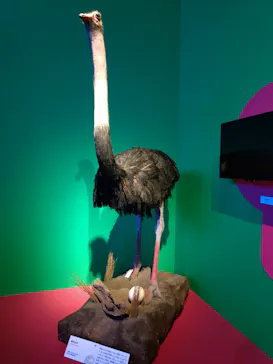 特別展「いきもの超ワールド展　国立科学博物館×ダーウィンが来た！」（国立科学博物館）に投稿された画像（2026/9/21）