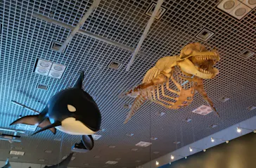 特別展「いきもの超ワールド展　国立科学博物館×ダーウィンが来た！」（国立科学博物館）に投稿された画像（2026/9/21）