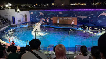 仙台うみの杜水族館に投稿された画像（2026/9/21）