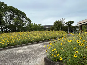 万博記念公園に投稿された画像（2026/9/21）