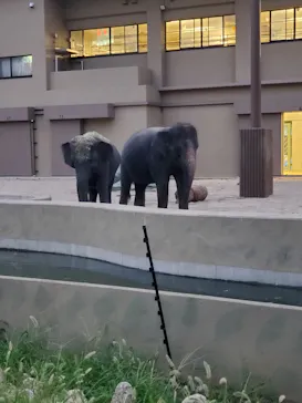 天王寺動物園に投稿された画像（2026/9/21）