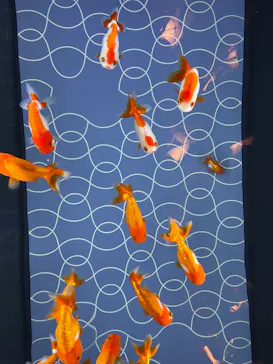 すみだ水族館に投稿された画像（2026/9/21）