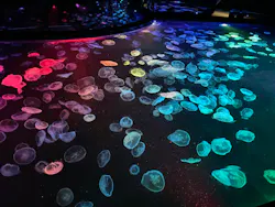 すみだ水族館に投稿された画像（2026/9/21）