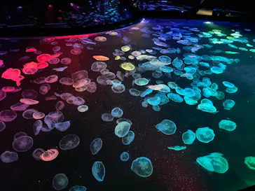 すみだ水族館に投稿された画像（2026/9/21）