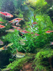 すみだ水族館に投稿された画像（2026/9/21）