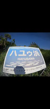 武藤潜水に投稿された画像（2026/9/21）