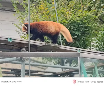 天王寺動物園に投稿された画像（2026/9/21）