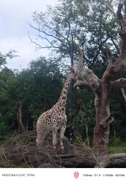 天王寺動物園に投稿された画像（2026/9/21）