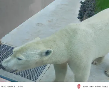 天王寺動物園に投稿された画像（2026/9/21）