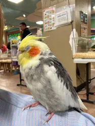 いきもの探検隊上尾に投稿された画像（2026/9/21）