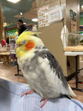 いきもの探検隊上尾に投稿された画像（2026/9/21）