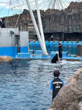 名古屋港水族館に投稿された画像（2026/9/21）