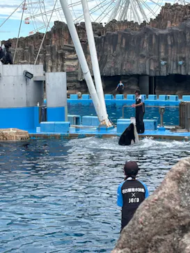名古屋港水族館に投稿された画像（2026/9/21）