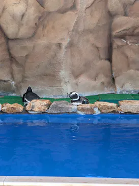 大分マリーンパレス水族館 「うみたまご」に投稿された画像（2026/9/21）