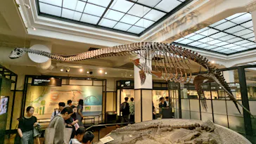 国立科学博物館に投稿された画像（2026/9/21）